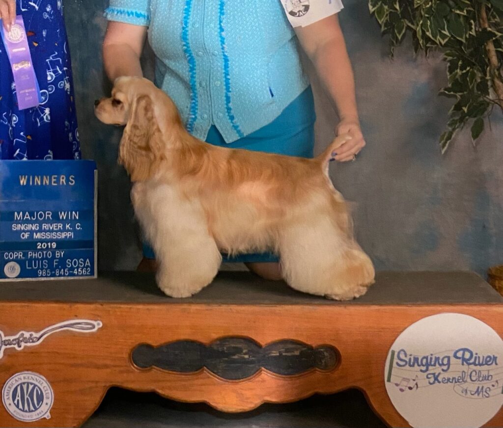 CH. Acadias Jovial Performer
