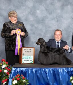 AKC Bronze Grand Champion "Baer"